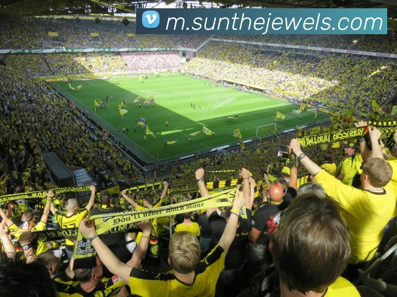 奖项图3